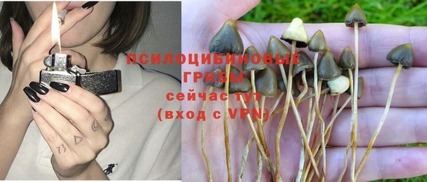 героин Бородино