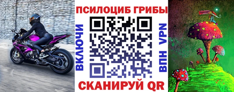 Галлюциногенные грибы MAGIC MUSHROOMS  Купить закладки  Новоалтайск 