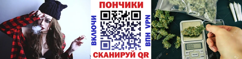 Купить где  Новоалтайск  Канабис Amnesia 